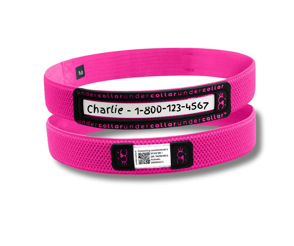 Pink color qr code dog collar